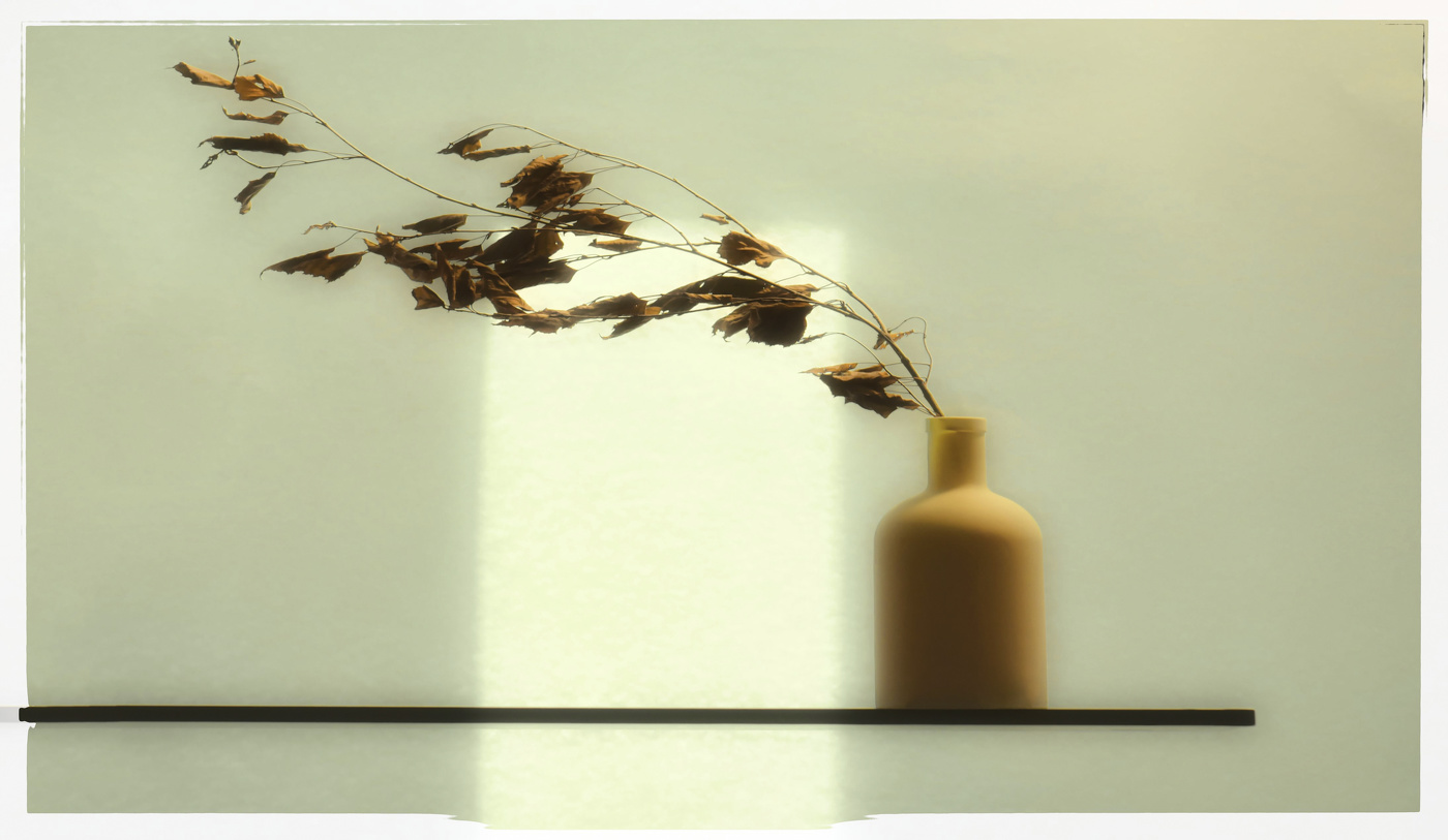 В тёплых тонах.