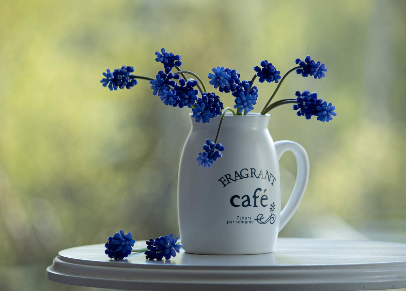 Мышиный гиацинт