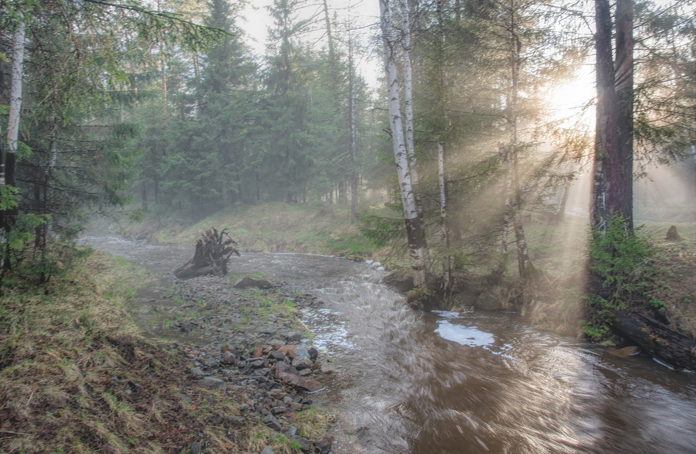 Вечерние лучи