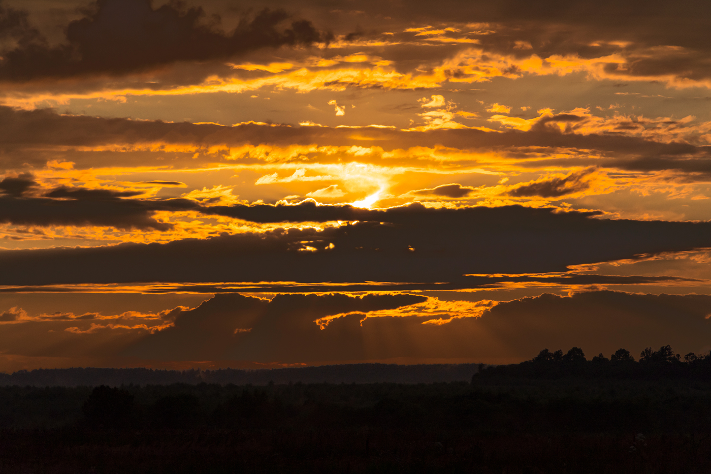 буйный закат