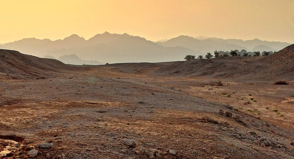 К вечеру добрались до оазиса в пустыне