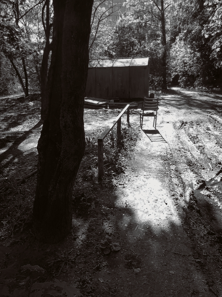 ... и никого!