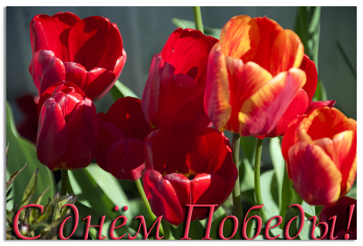 С днём Победы!