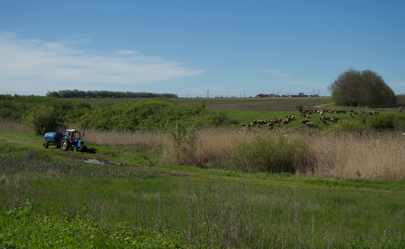 Деревенские будни