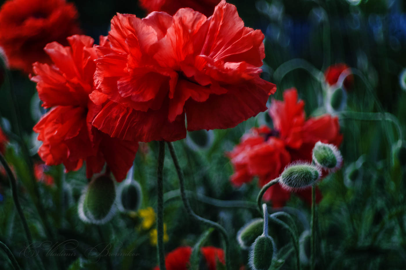 С Днём Победы!