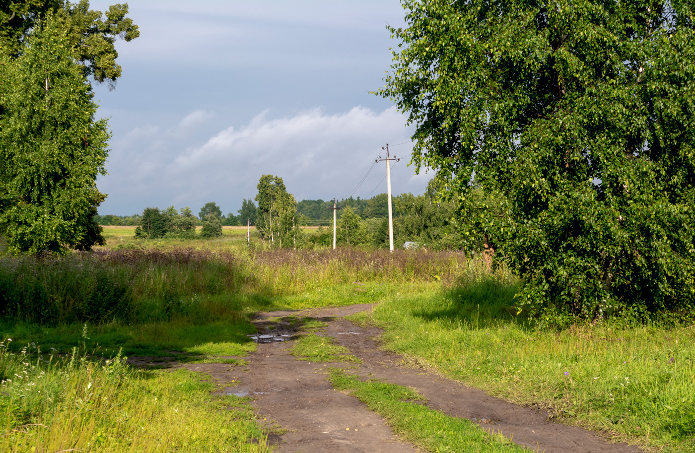 после дождя