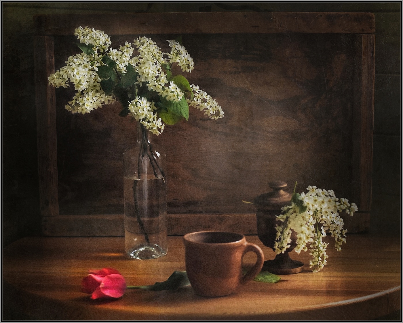 ...... Черемуха.Весна.Май......