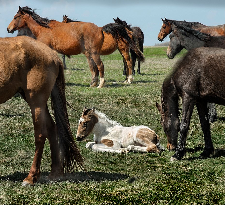 Притомился