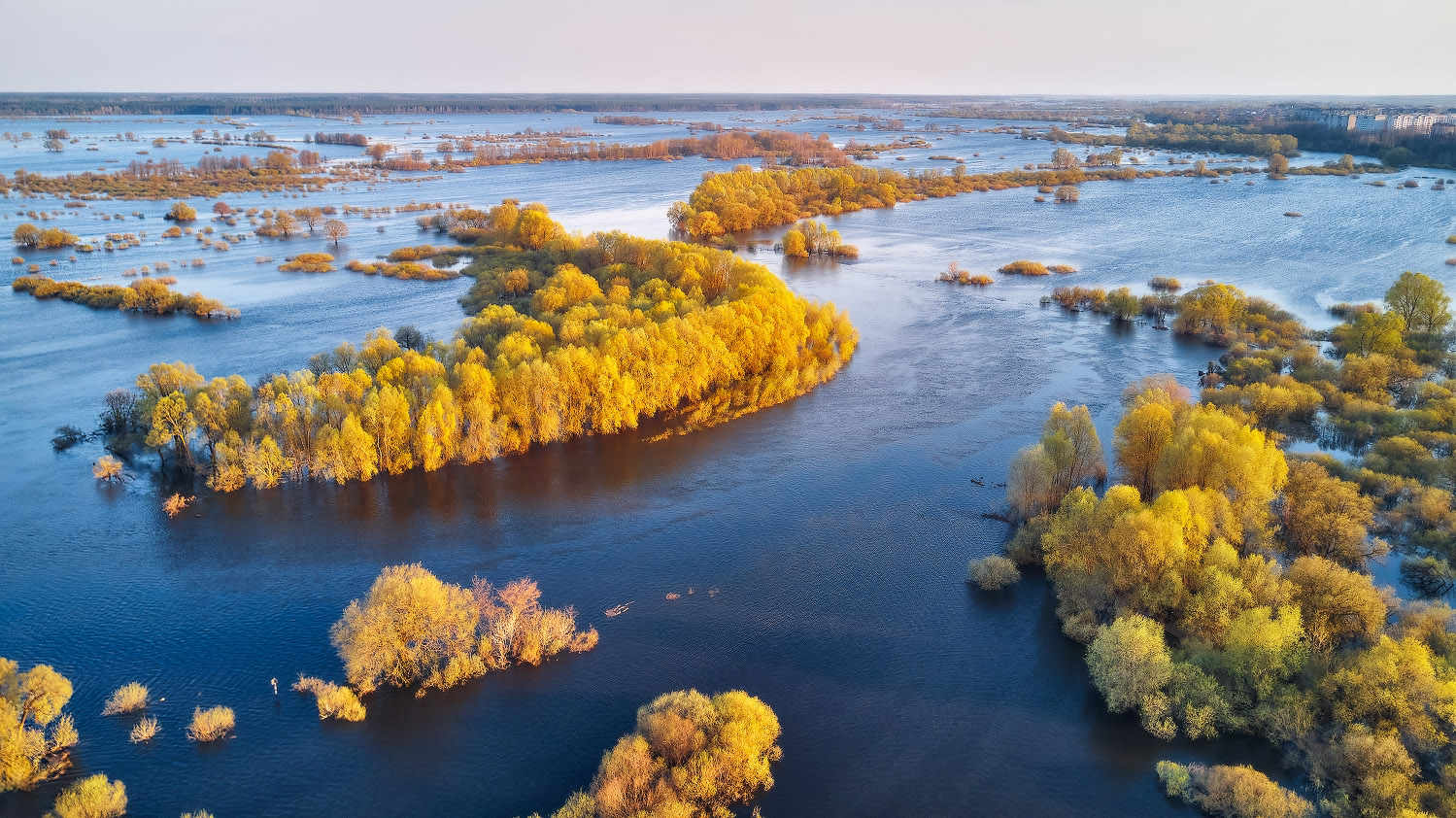 Рогачев. Разлив Днепра