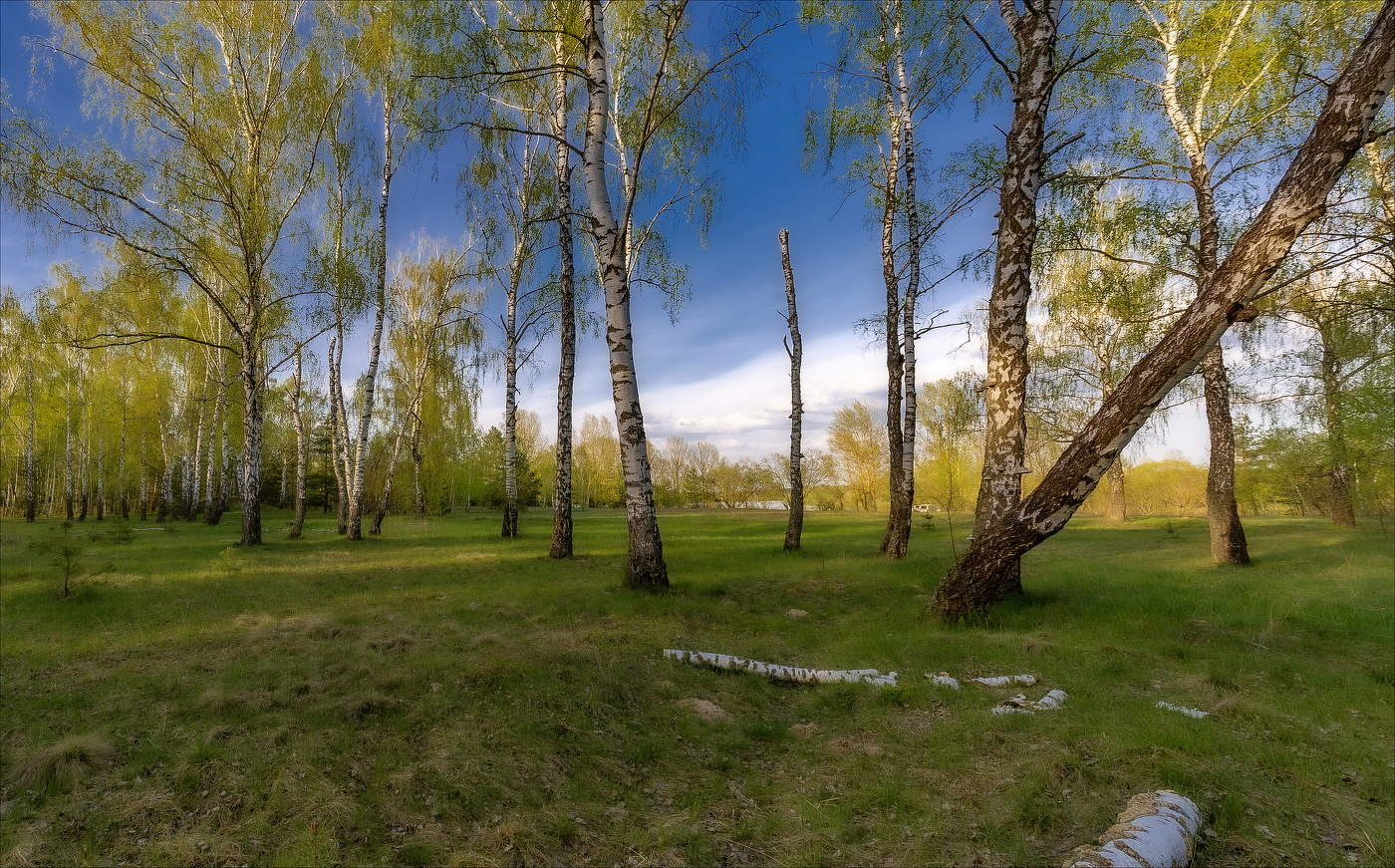 ПРОБУДИВШИСЬ ОТО СНА...