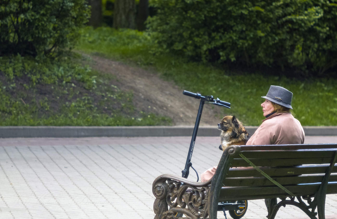 В ожидании...