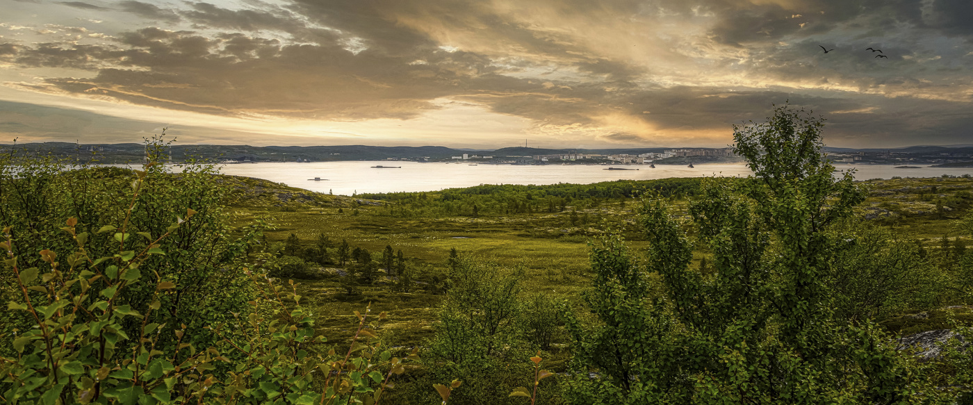 Подлодки на рейде.