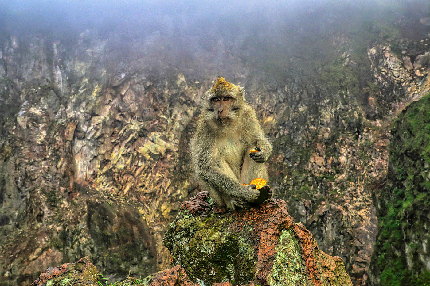 "Королева" Батура