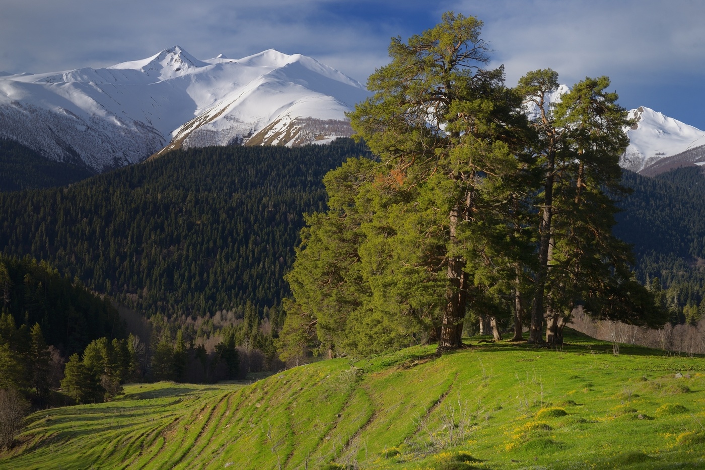 Весна в горах