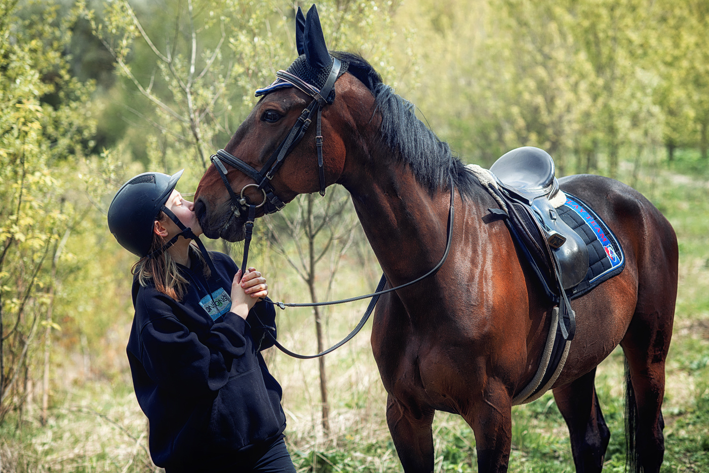 Лошади знают, что такое дружба..