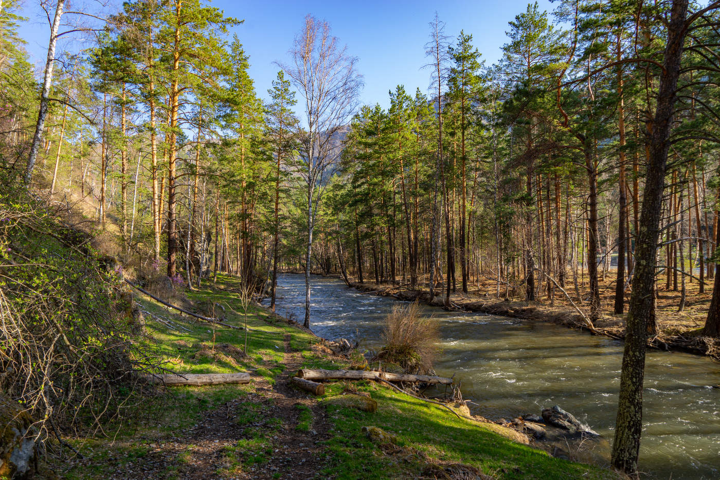 Утро на Чемале