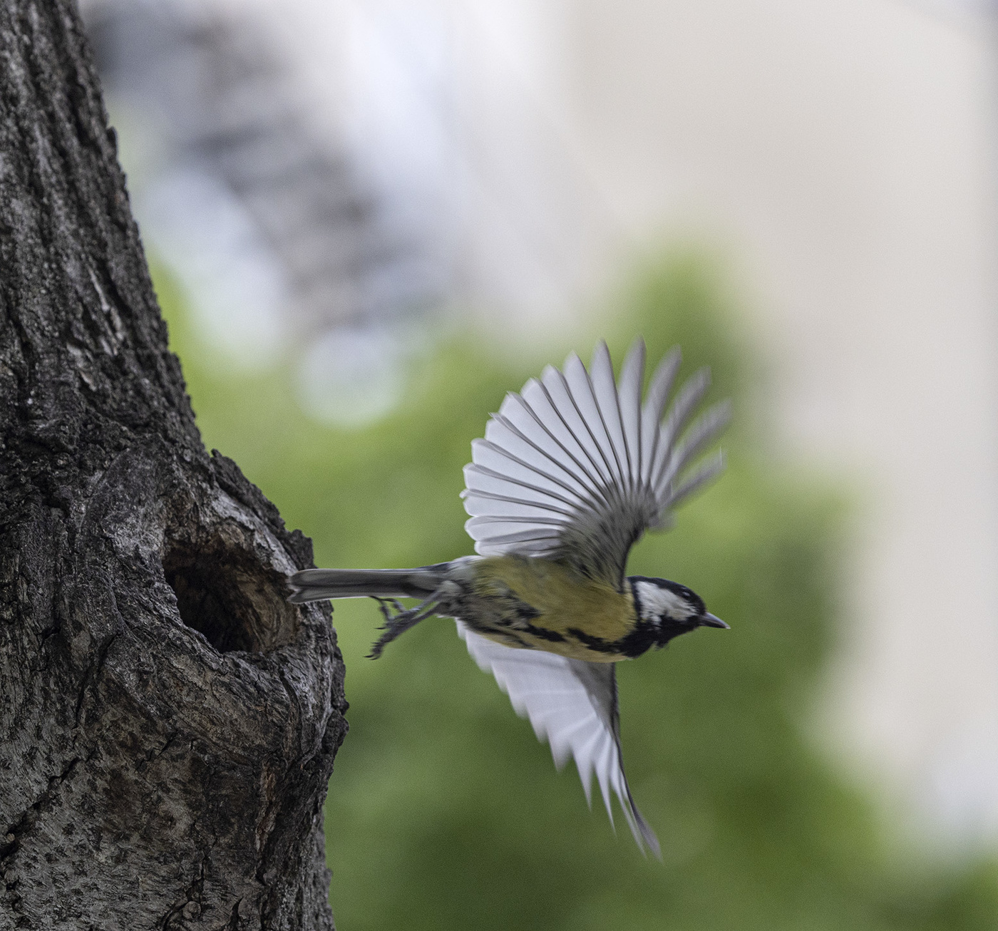 Родительские хлопоты