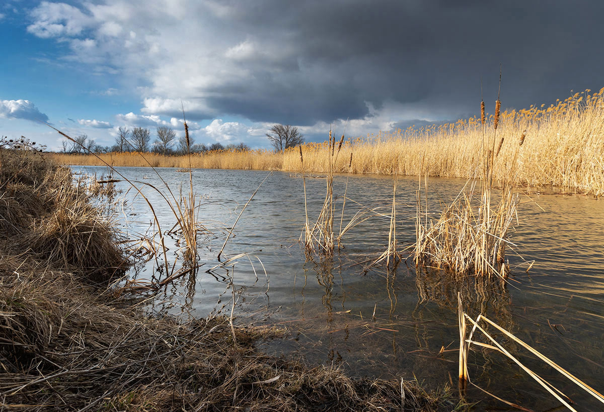 Малая река Большой Калитвенец