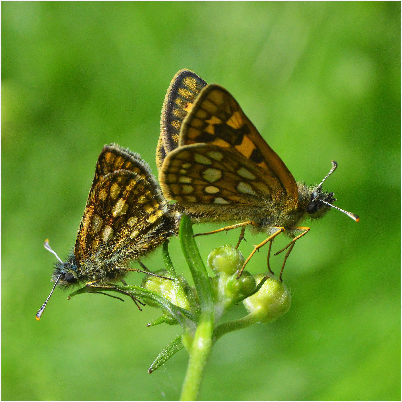В начале лета.