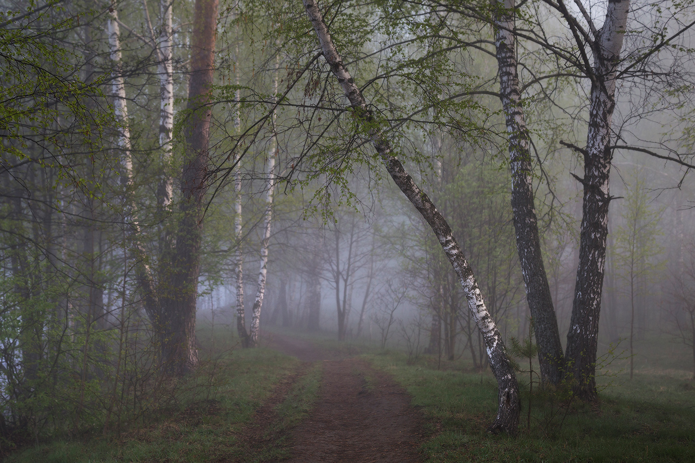 Весеннее утро