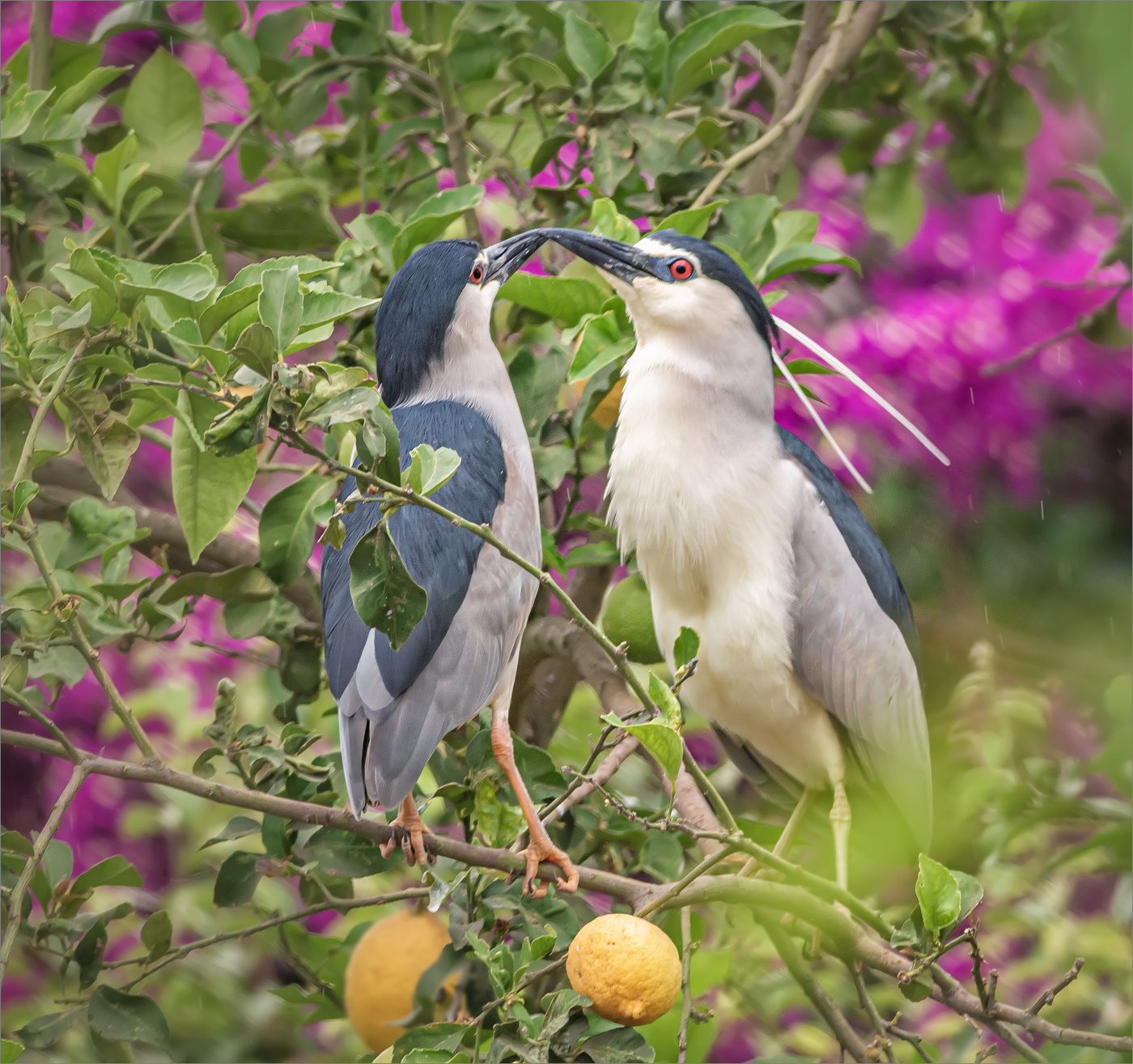 "Гдяжу в тебя как в зеркало..."