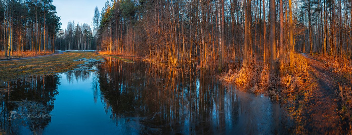 Свет нового дня