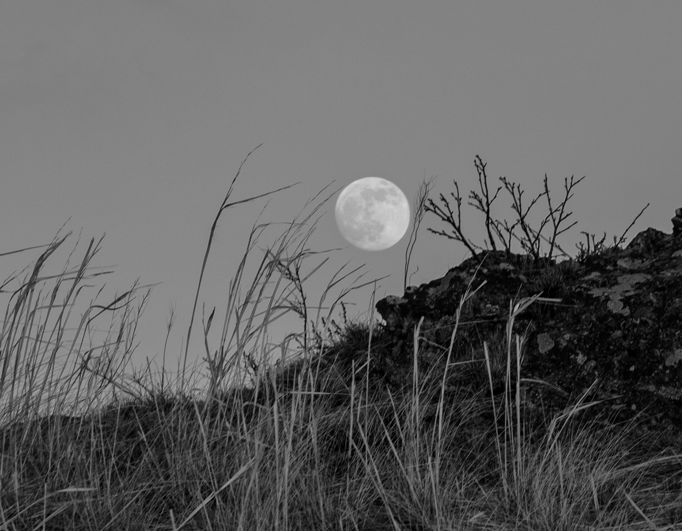 Полная луна