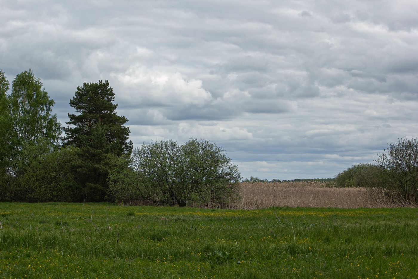 Незатейливый майский пейзаж