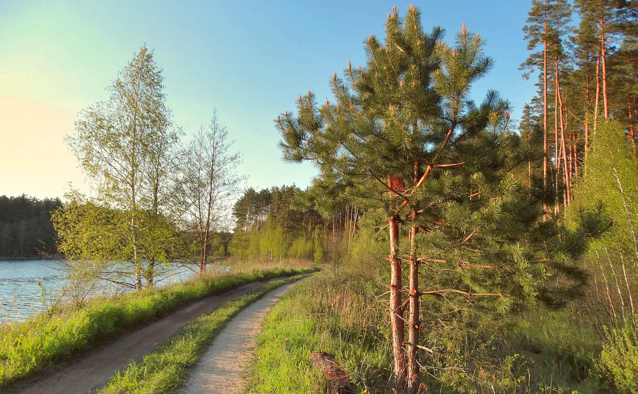 Майским вечером по берегу озера
