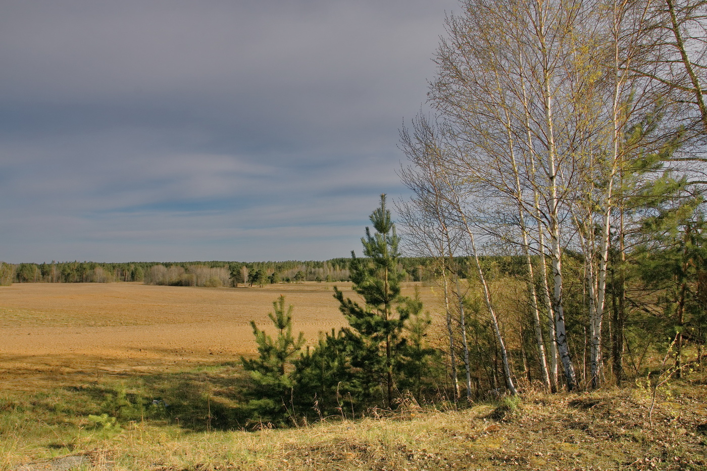 *Майский день.**