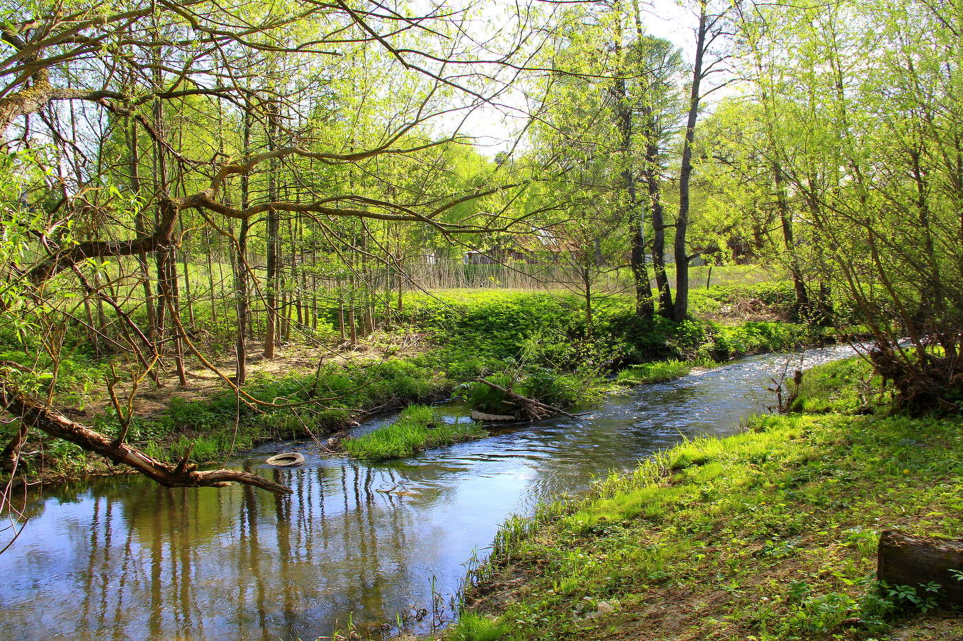 Весенний пейзаж
