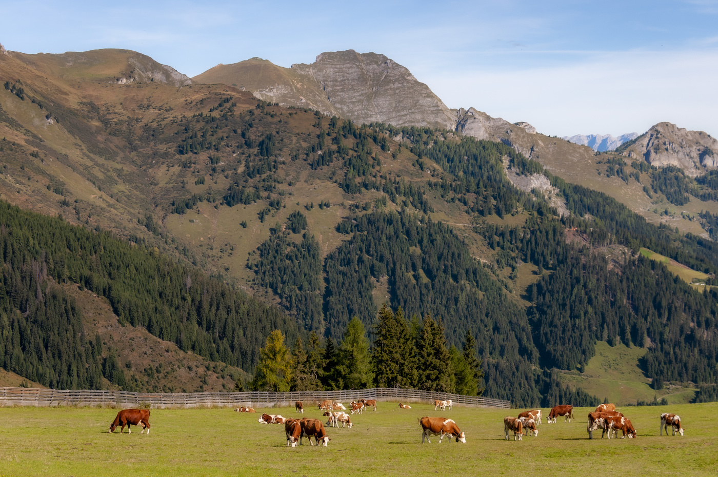 Тирольский уголок