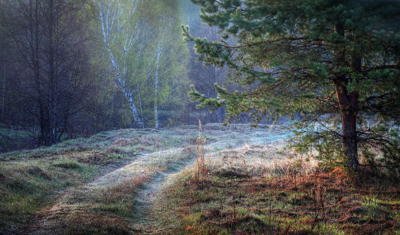 В начале мая..