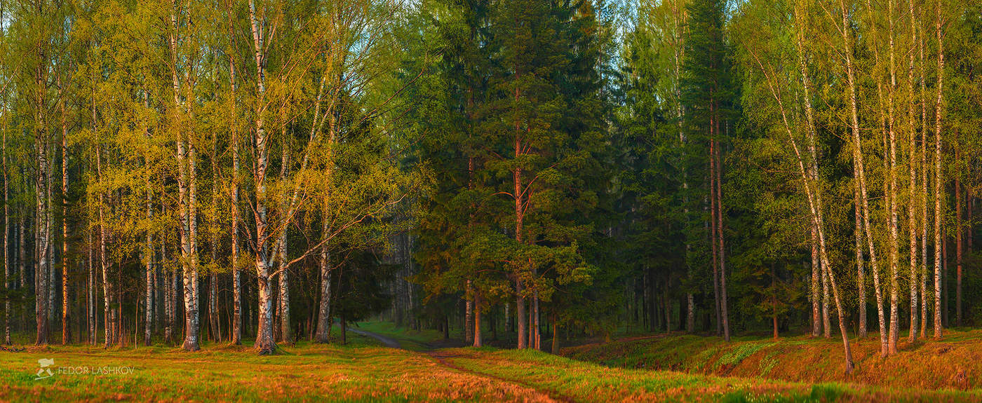 Майская картина