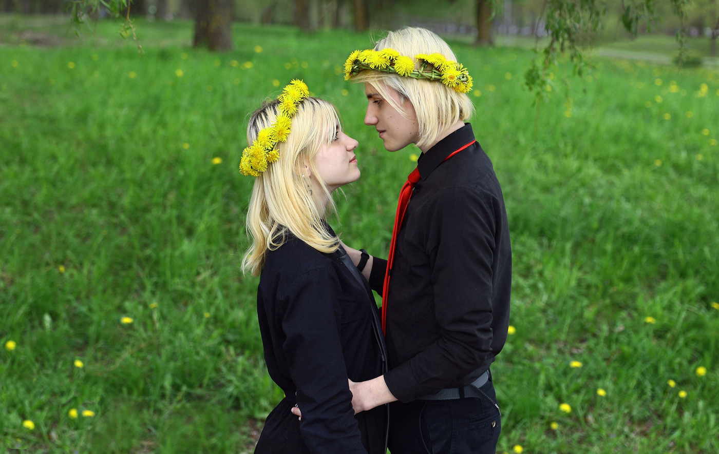 Время одуванчиков - I .