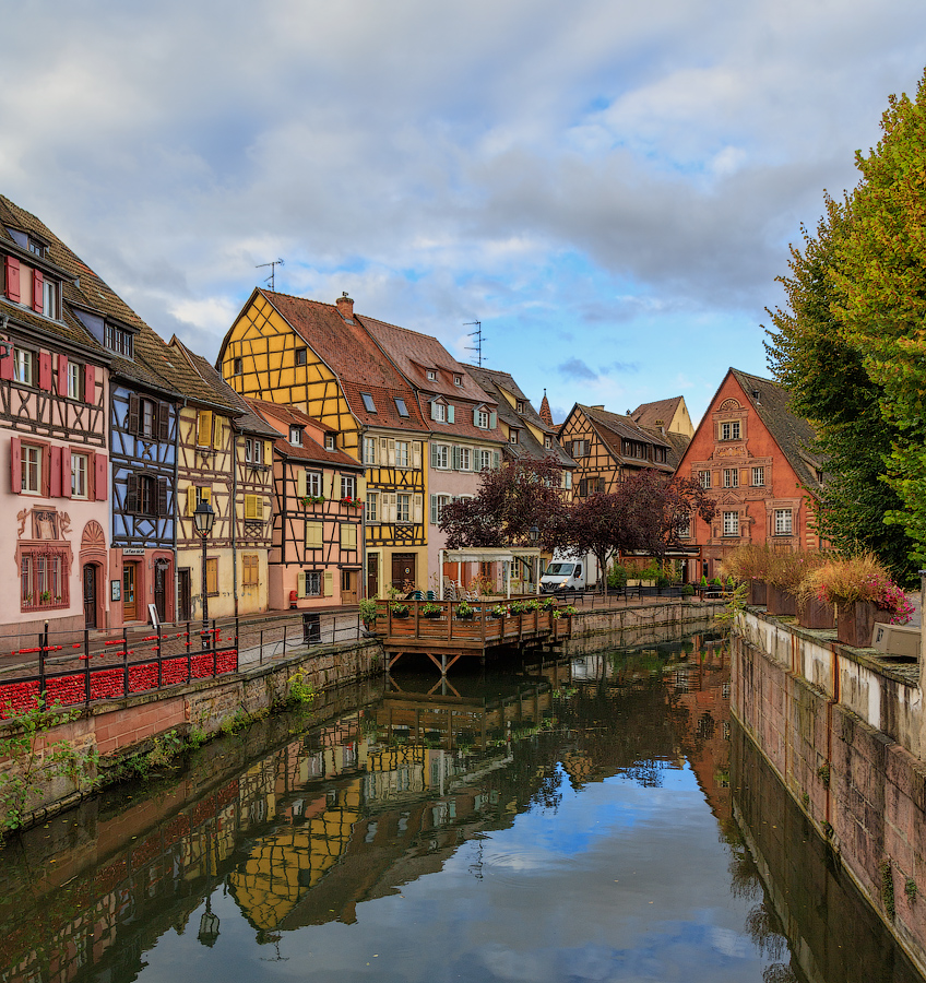 Утренняя прогулка после дождя