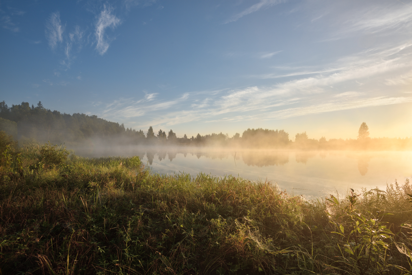 туманное утро