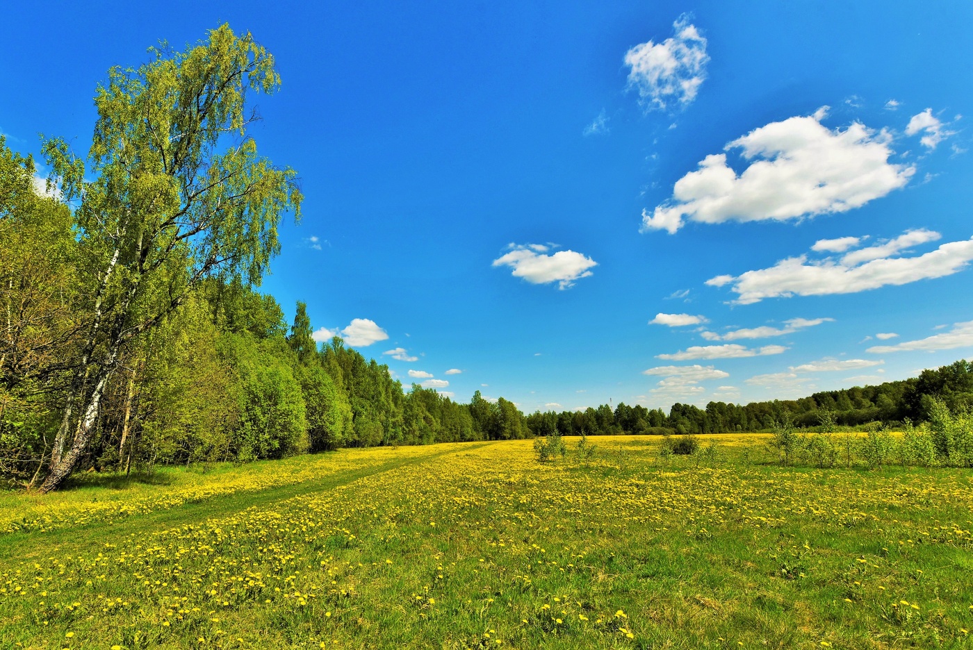 "Облака опять поставили паруса свои ..."
