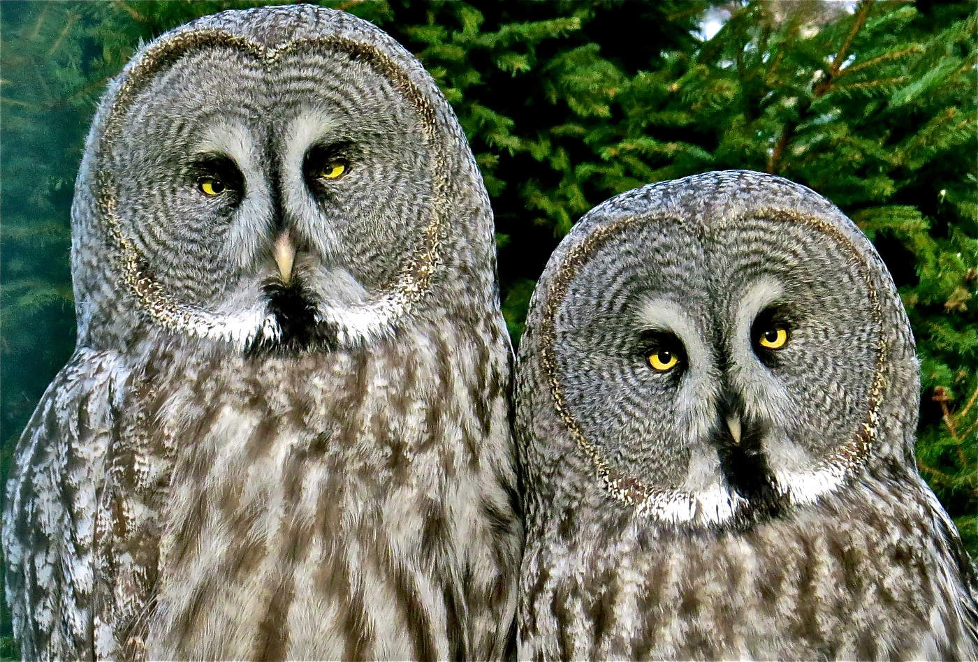 Жили-были...