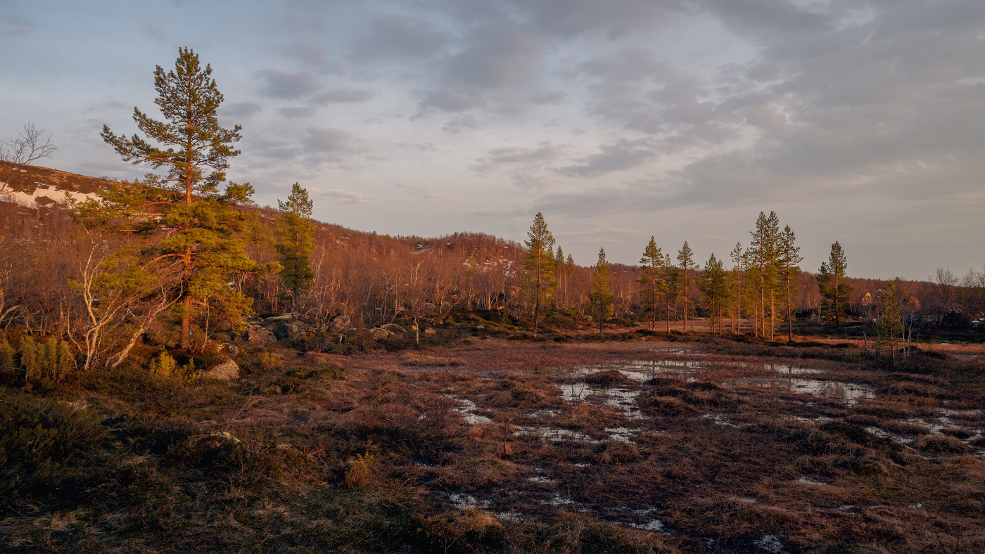 В преддверии Полярного дня