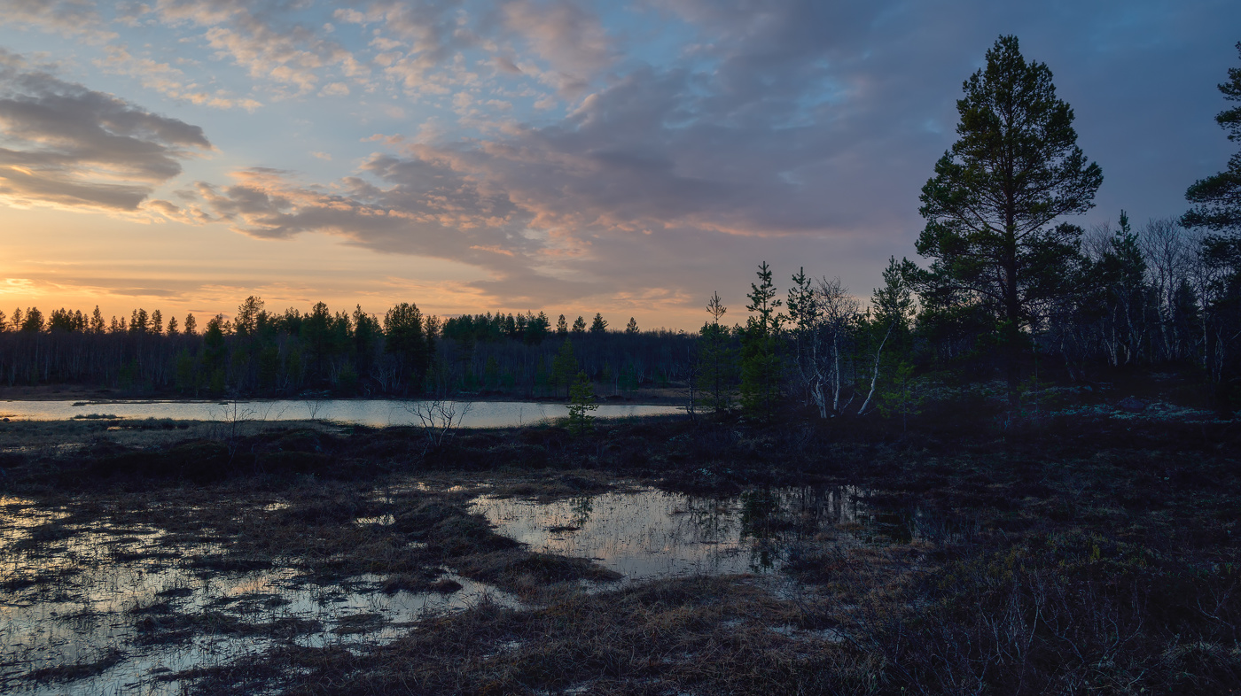 Майская ночь на Кольском
