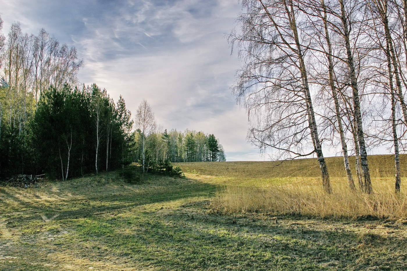 *Весеннее утро.**