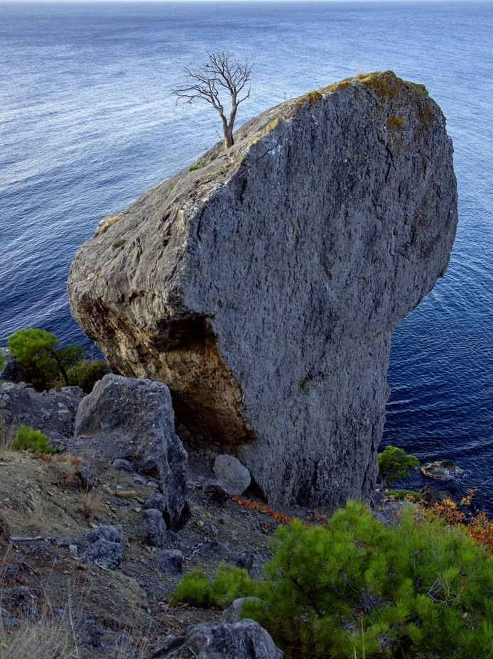 Одиночество...