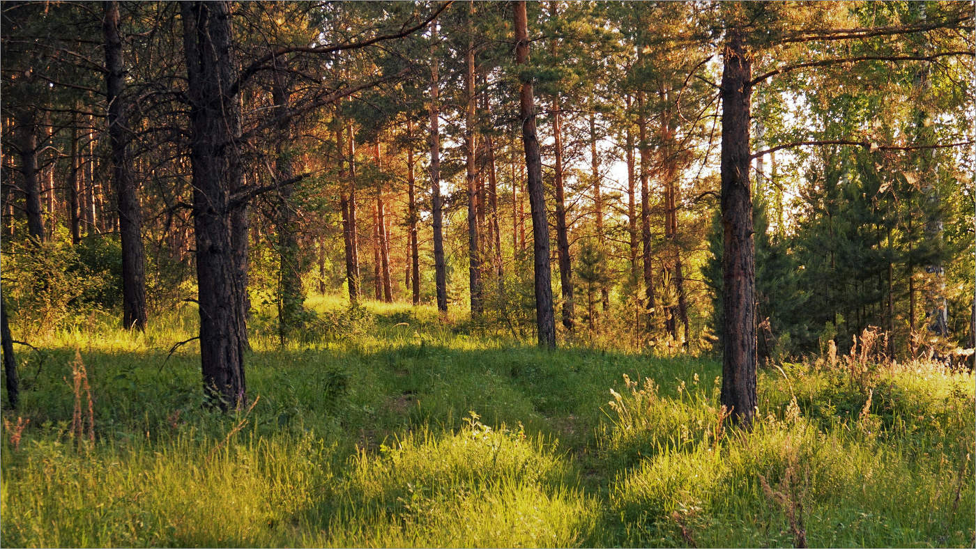 Майскими тропинками