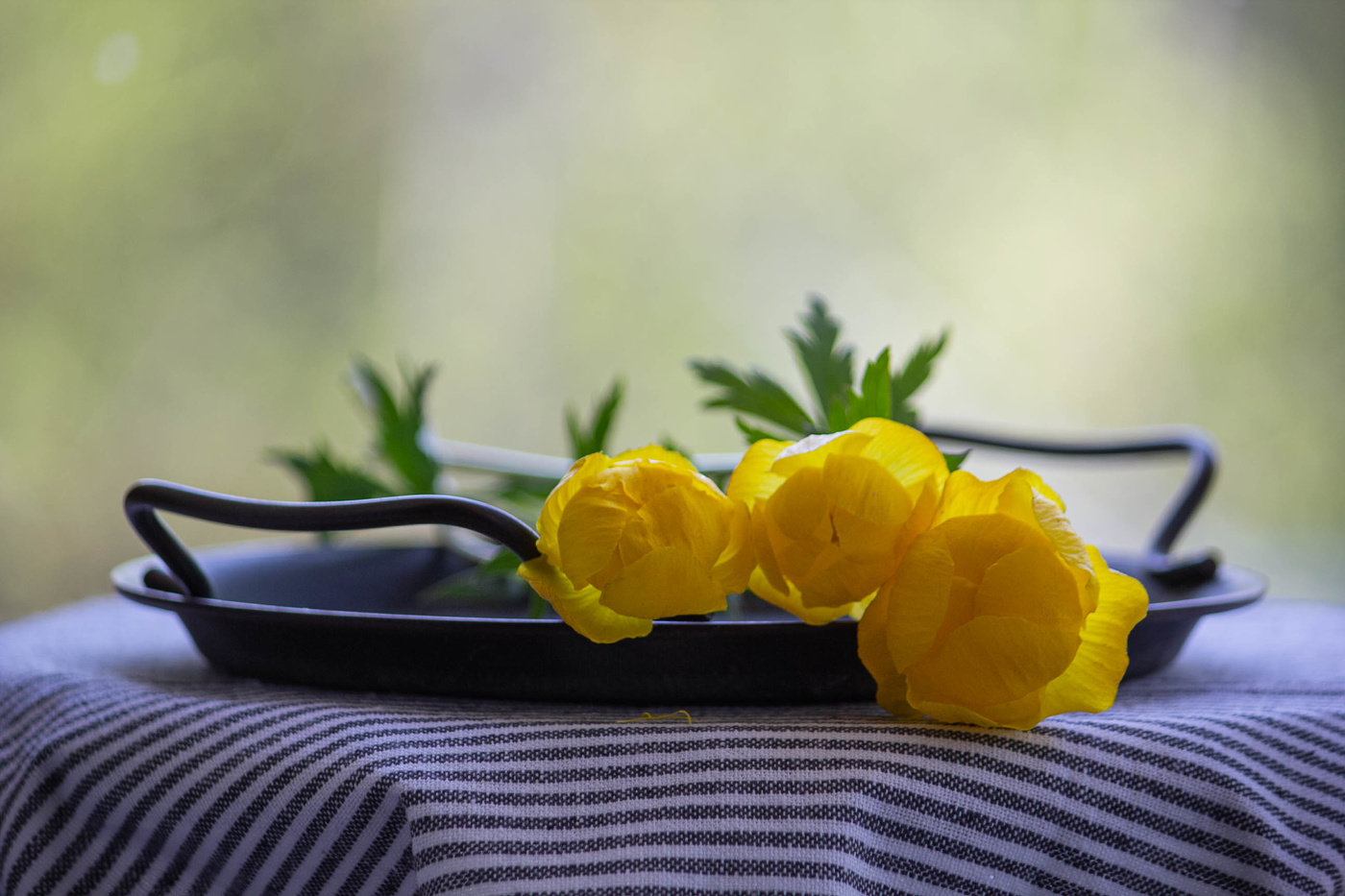 Купальницы