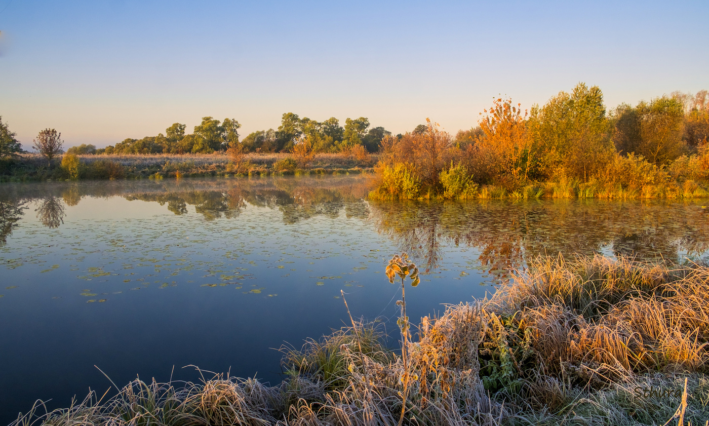 Осень, ноябрь.