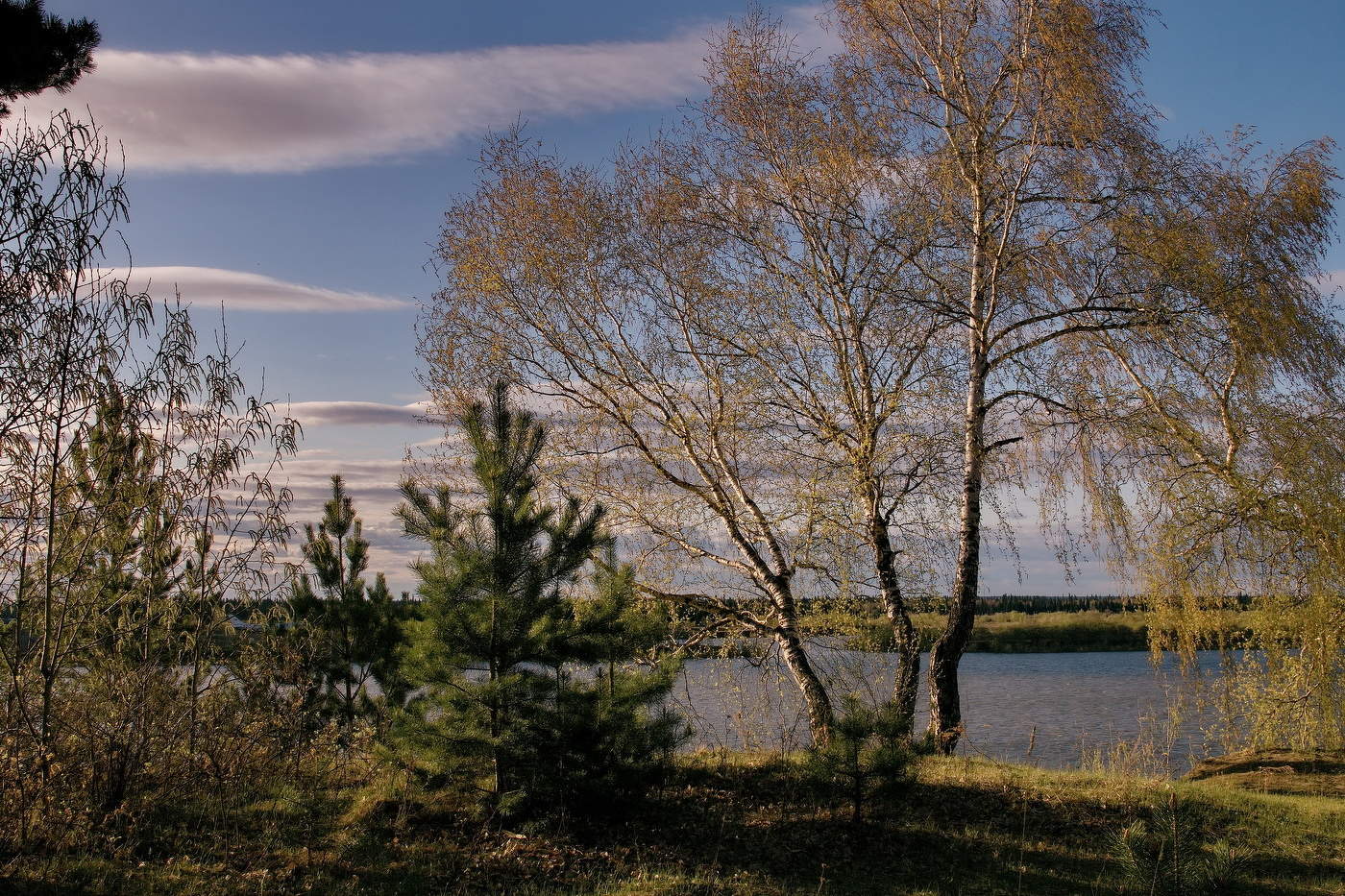 *Майским вечером.**