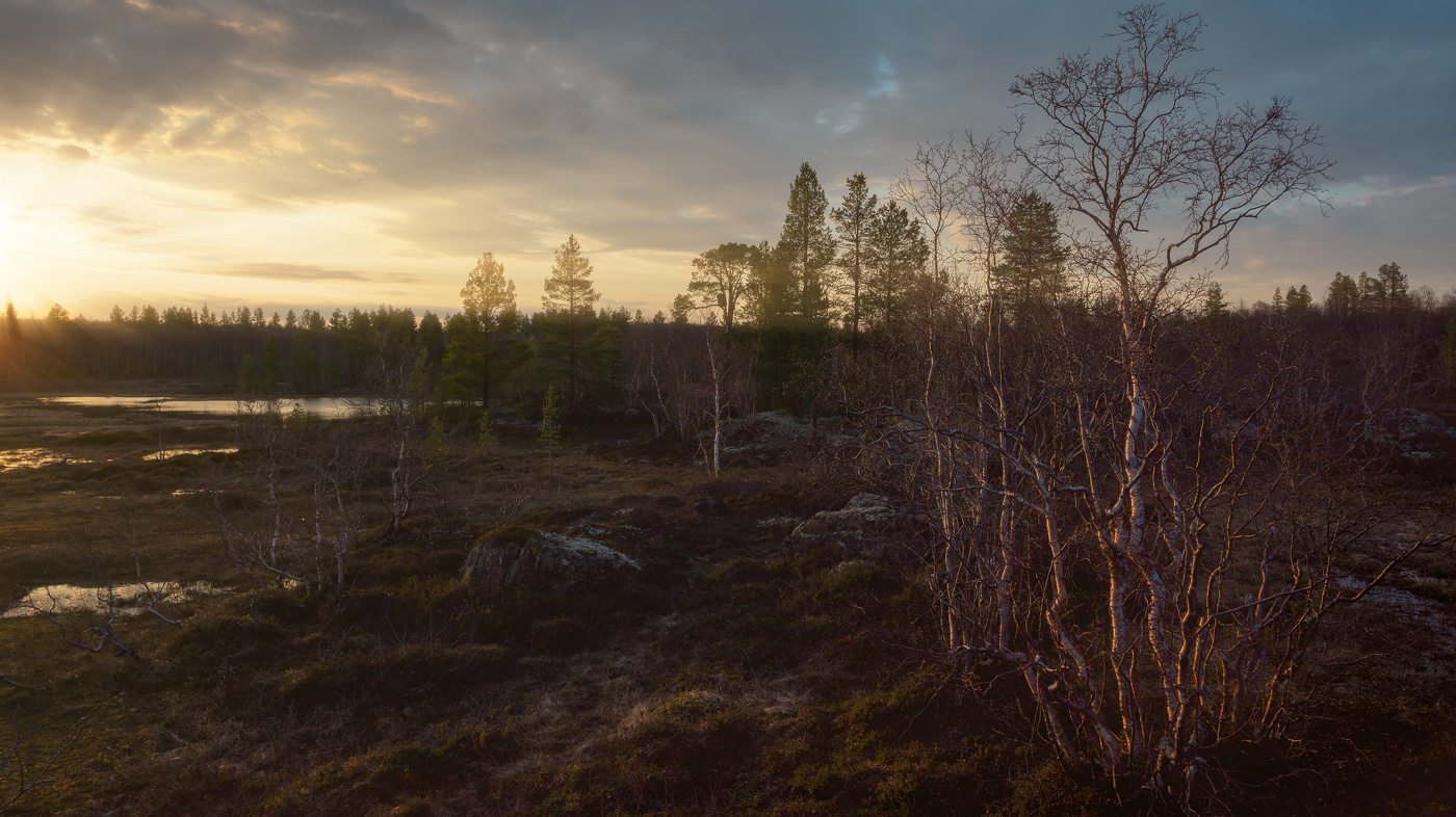 Северная весна