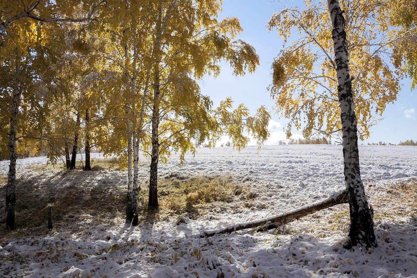 Осень зимняя