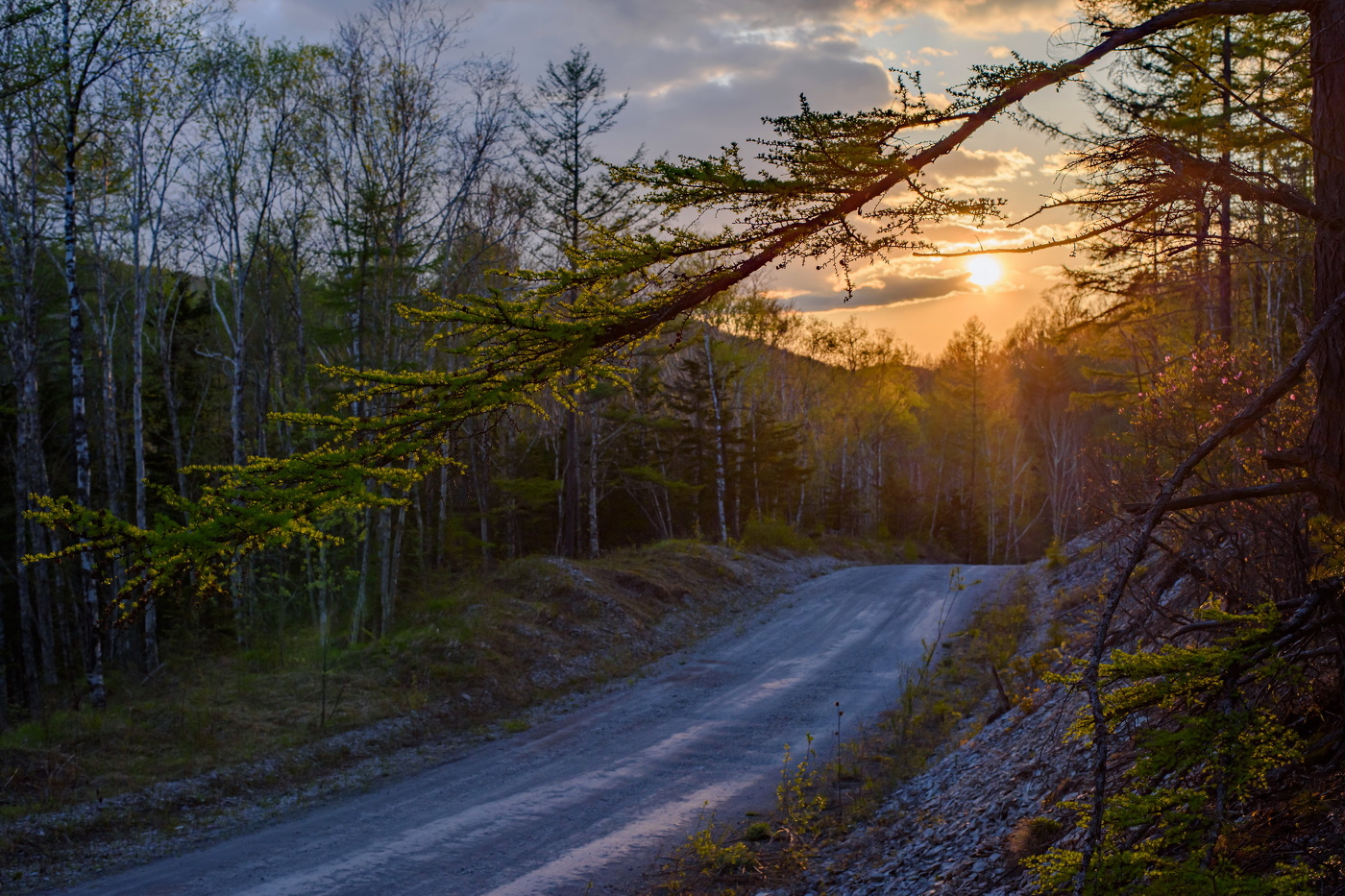 Таежный закат